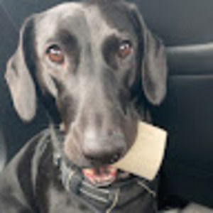 Meet your Posher, Karina